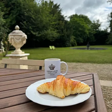 Chateau Larose Mandres-les-Roses